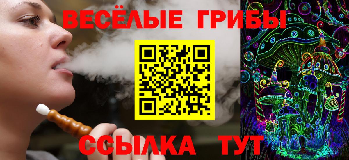 Псилоцибиновые грибы ЛСД  где можно купить   Заводоуковск  Вход с VPN  Псилоцибиновые грибы GOLDEN TEACHER 
